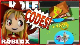 Hole Simulator Codes